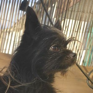 Meet your Posher, Emma